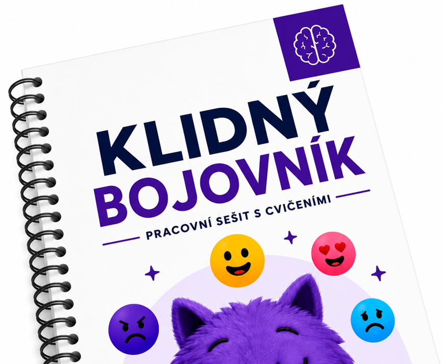 Klidný bojovník