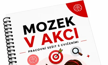 Mozek v akci